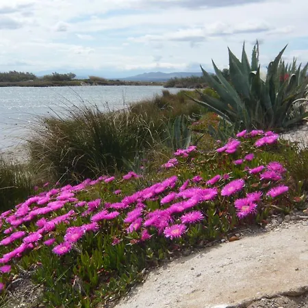 Maisonnette Au Bord De L'etang Port Leucate
