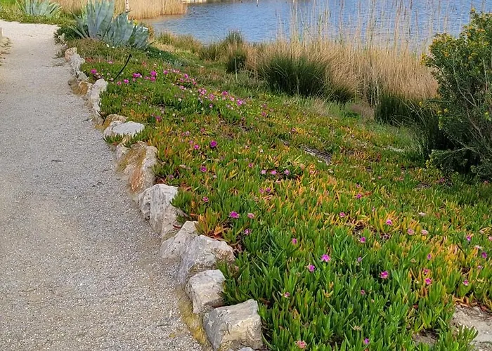Maisonnette Au Bord De L'etang Port Дом отдыха